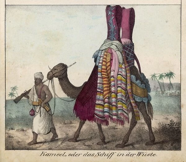Camel and Ladies