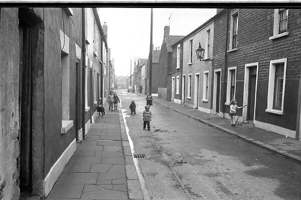 Dog and children in a street, Belfast, Northern Ireland
