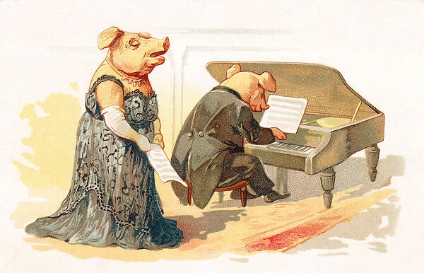 Two pigs performing in a concert