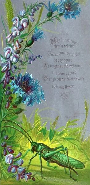Purple and blue flowers with grasshopper on a New Year card