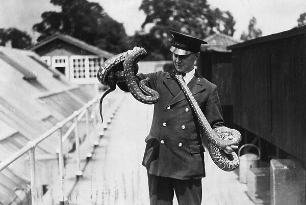 Zoo Keeper & Snakes
