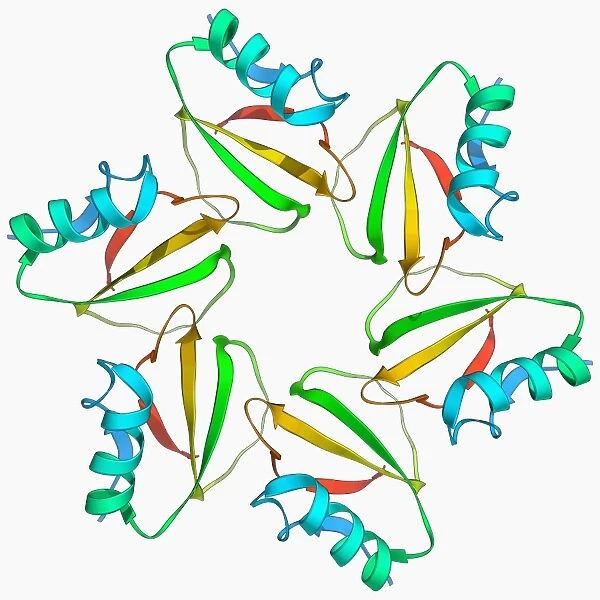 Chymotrypsin inhibitor 2 molecule F006  /  9578