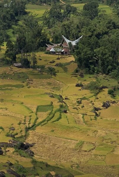 Aerial view over rice fields and terraces and traditional houses