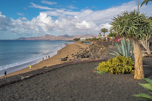 View overlooking Playa Grande beach and Atlantic Ocean, Puerto del Carmen, Lanzarote, Las Palmas, Canary Islands, Spain, Atlantic, Europe