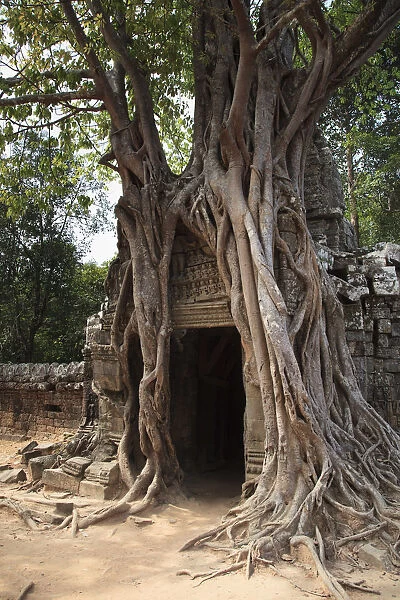 Cambodia, Temples of Angkor (UNESCO site), Ta Som Temple