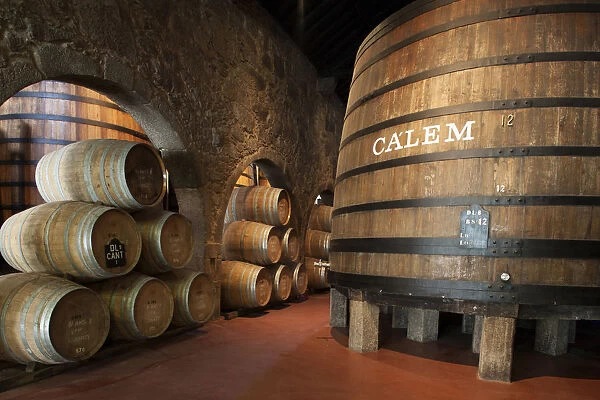 Europe, Portugal, Porto (Oporto), Port wine barrels in the warehouse of the Calem