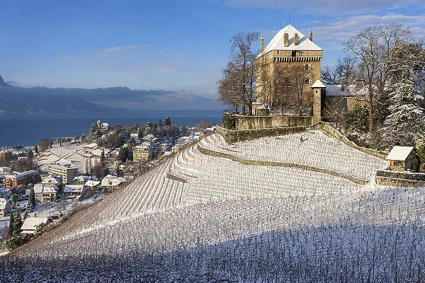 Switzerland, Canton of Vaud, Chatelard castle, Lake Geneva