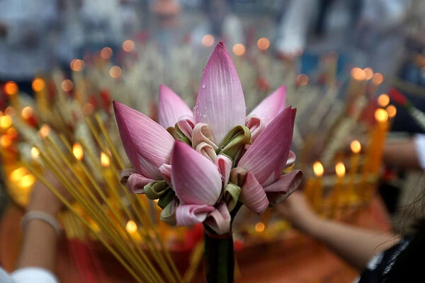 A lotus flower is seen while people pray at the Oudong mountain during the annual Makha