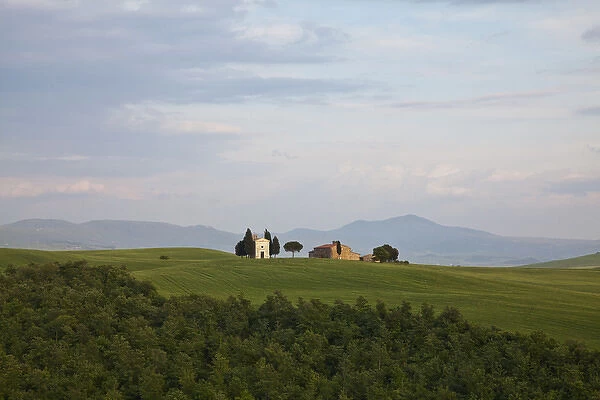 Europe; Italy; Tuscany; Spring Wheat Fields with The Famous Tuscan Chapel Madonna