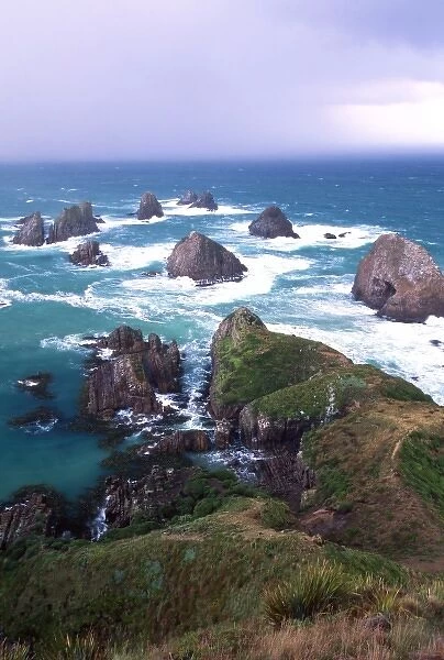 New Zealand, South Island, Nugget Point