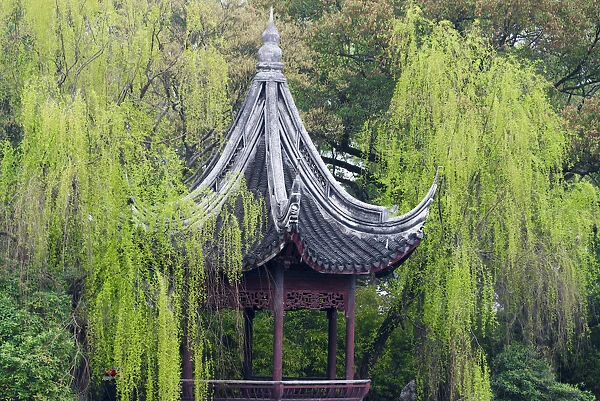 Pavilion with willow trees in Xiaolianzhuang Resort, Nanxun Ancient Town, Zhejiang Province