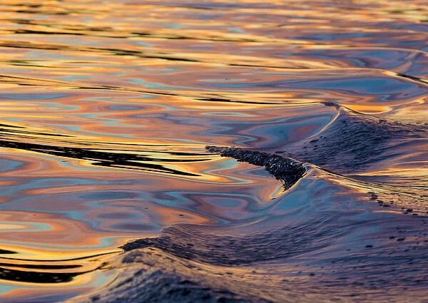 US, WA. Patterns of reflected sunset in boat wake Puget Sound