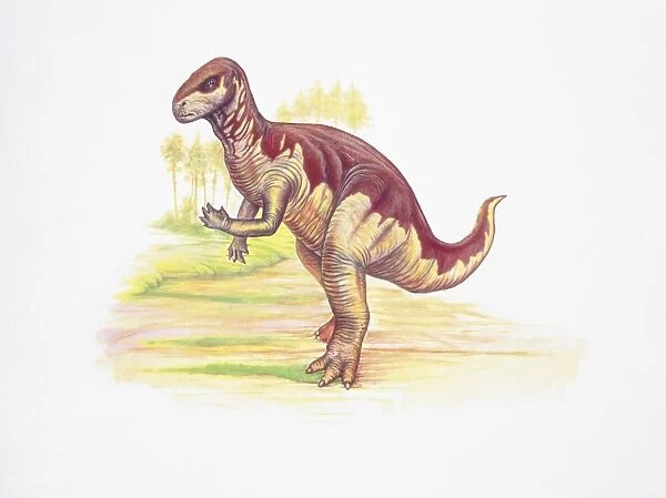 Side profile of a camptosaurus