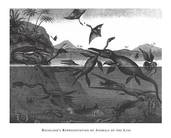 Bucklands Representation of Animals of the Lias, Fossils and Representation of Animals