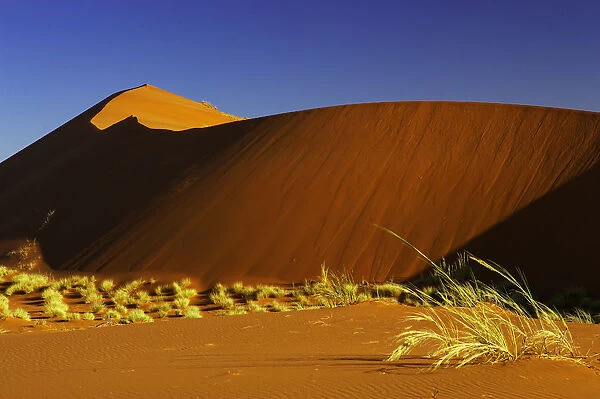 day, dunes, horizontal, landscape, namibia, nature, no people, non-urban scene, photography