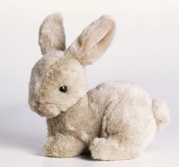 Rabbit cuddly toy