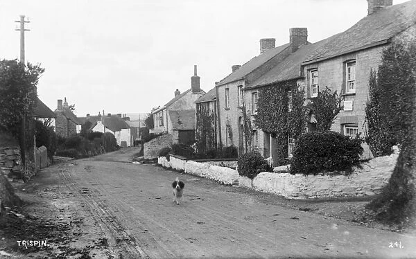 Trispen, St Erme, Cornwall. Early 1900s