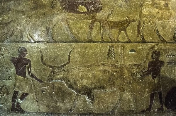 Egypt-Archaeology