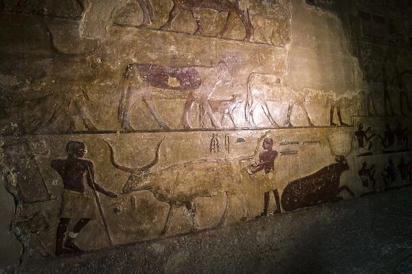 Egypt-Archaeology