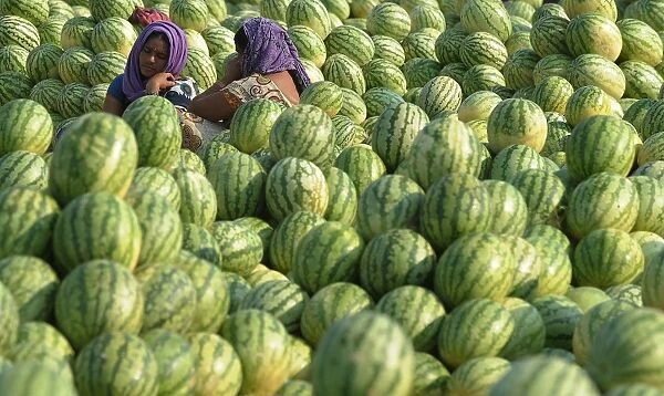 India-Economy-Agriculture
