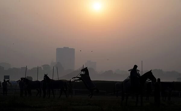 India-Weather-Fog-Horses