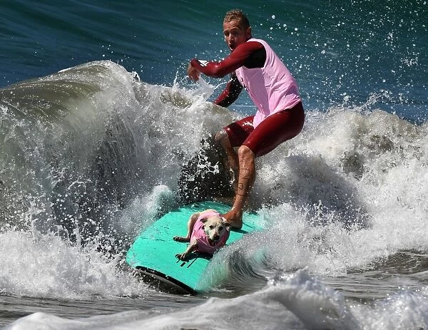 Lifestyle-Us-Animal-Pets-Dogs-Surfing