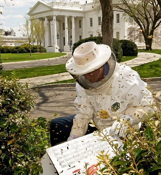 Us-White House-Bees