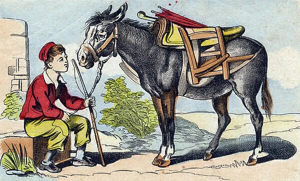 Donkey. Engraving in 'Buffon Alphabet des Animaux'. 3rd Series N 1