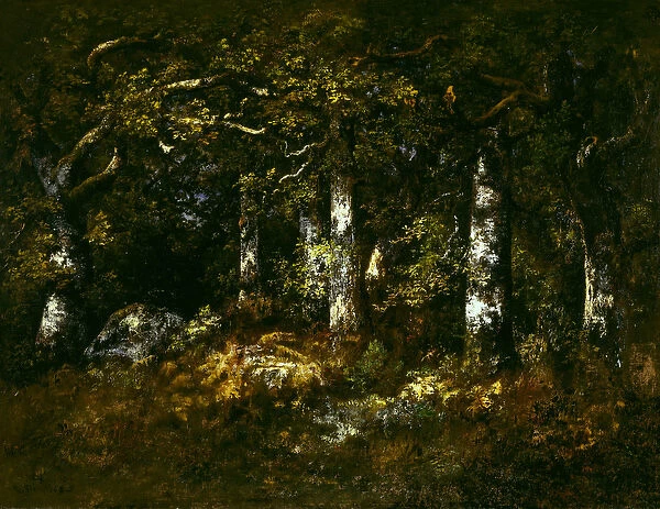 Forest of Fontainebleau, 1868 (oil on canvas)