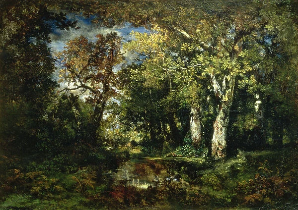 The Forest at Fontainebleau, 1870 (oil on canvas)