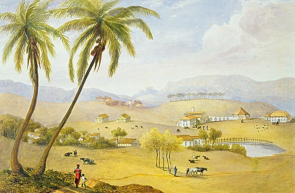 Haughton Court, Hanover, Jamaica, c. 1820 (w  /  c on paper)