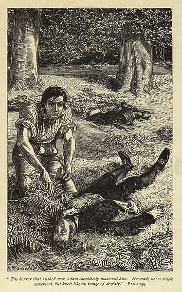 The horror that rushed over Adam completely mastered him (engraving)