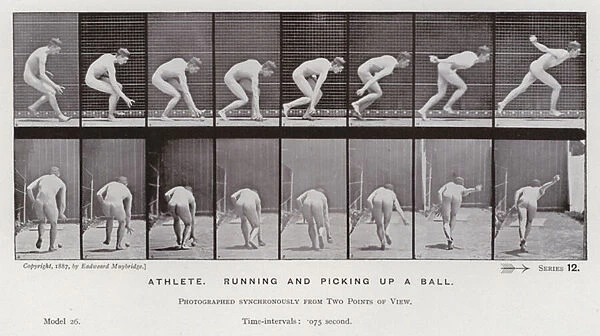The Human Figure in Motion: Athlete, running and picking up a ball (b  /  w photo)