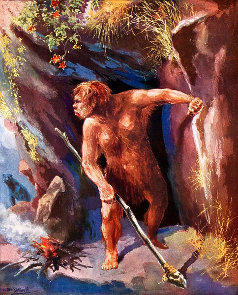 Neanderthal man (colour litho)