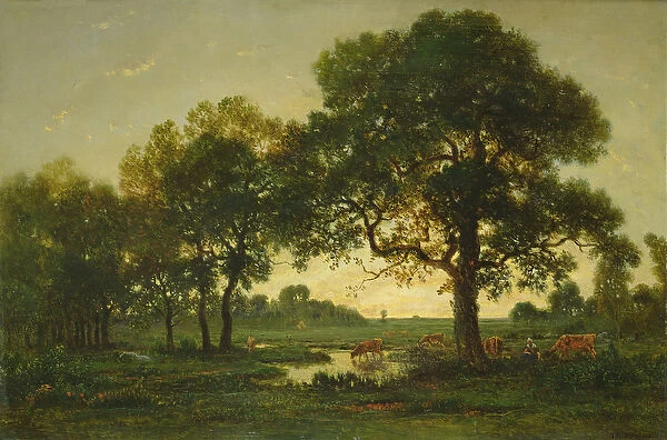 The Pond Oaks (oil on canvas)