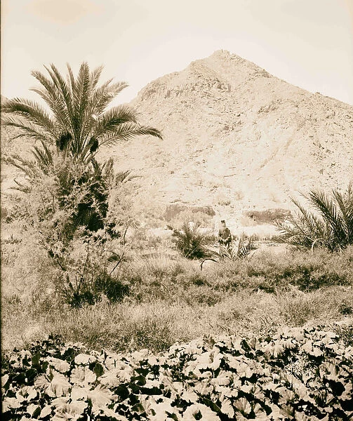 Jebel Tahuneh Hill Moses American Colony Jerusalem