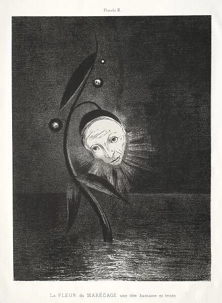 Homage to Goya: The Marsh Flower, a Sad Human Head, 1885. Creator: Odilon Redon (French