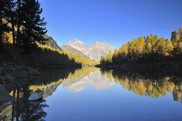 Lai da Palpuogna in Autumn, Albula Pass, Bergun, Grisons, Switzerland