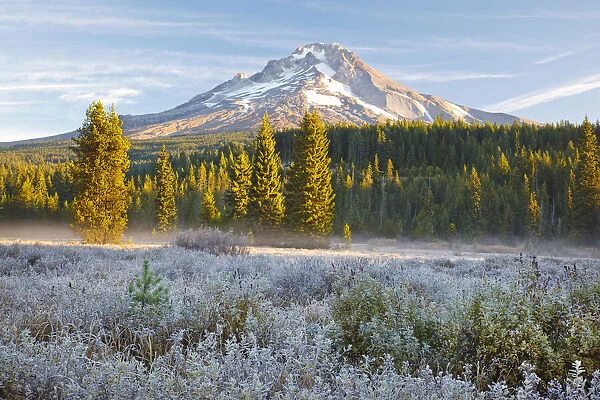 Mount Hood and Mount Hood National Forest, Oregon, USA