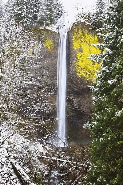 Snow Adds Beauty To Latourell Falls, Columbia River Gorge National Scenic Area; Oregon, United States Of America
