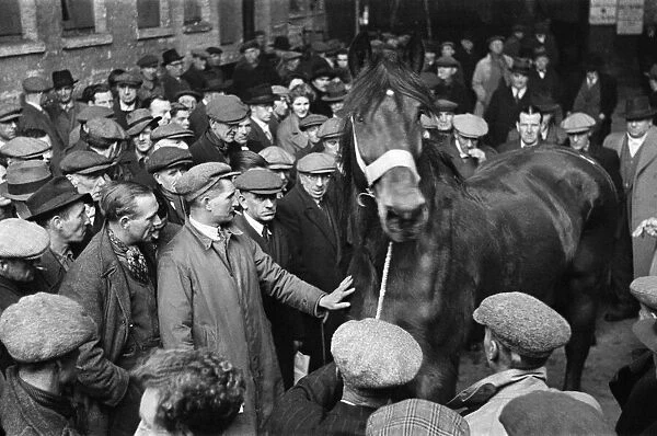 Cart and Van Horse Auction, New Kent Road, London, circa December 1947