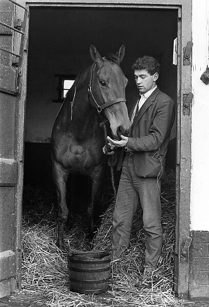 Famous racehorse Arkle with stable boy at the stables of Tom Dreaper