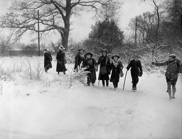 Group of Scouts trekking through the snow, through the trees