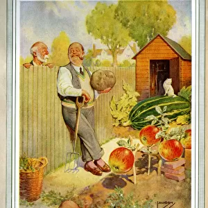 The Amateur Gardeners Dream