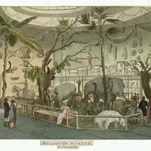 BULLOCKs MUSEUM 1811