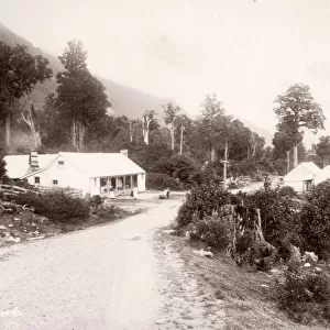 c. 1890s New Zealand - Jackson, west coast