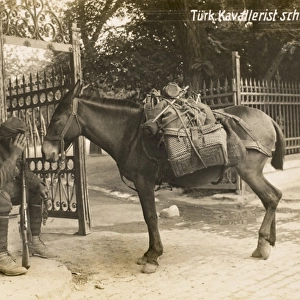 Exhausted soldier and horse, Turkey