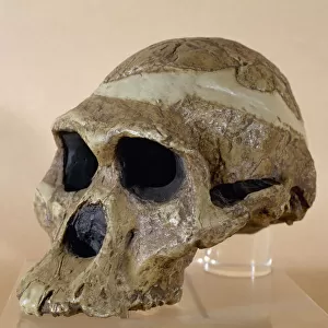 South Africa Heritage Sites Fossil Hominid Sites of South Africa