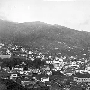 Panoramic: Landscape in Madeira 1873