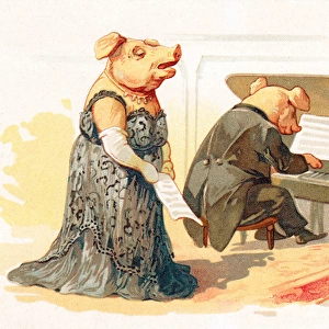 Two pigs performing in a concert